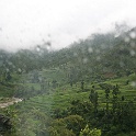 India & Nepal 2011 - 0424